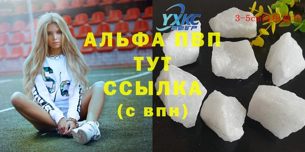 гашик Абаза
