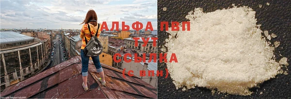 гашик Абаза