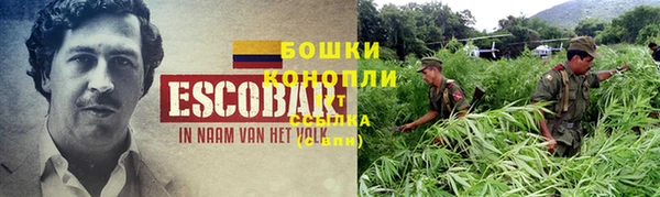 гашик Абаза