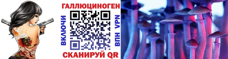 Псилоцибиновые грибы MAGIC MUSHROOMS  блэк спрут ссылки  Владикавказ 