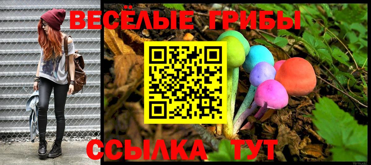 Псилоцибиновые грибы Cubensis Владикавказ